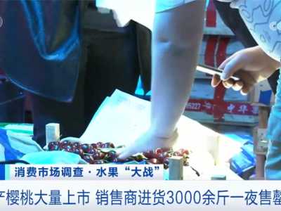 种植技术提高+味美价优 国产樱桃市场占有率不断提高